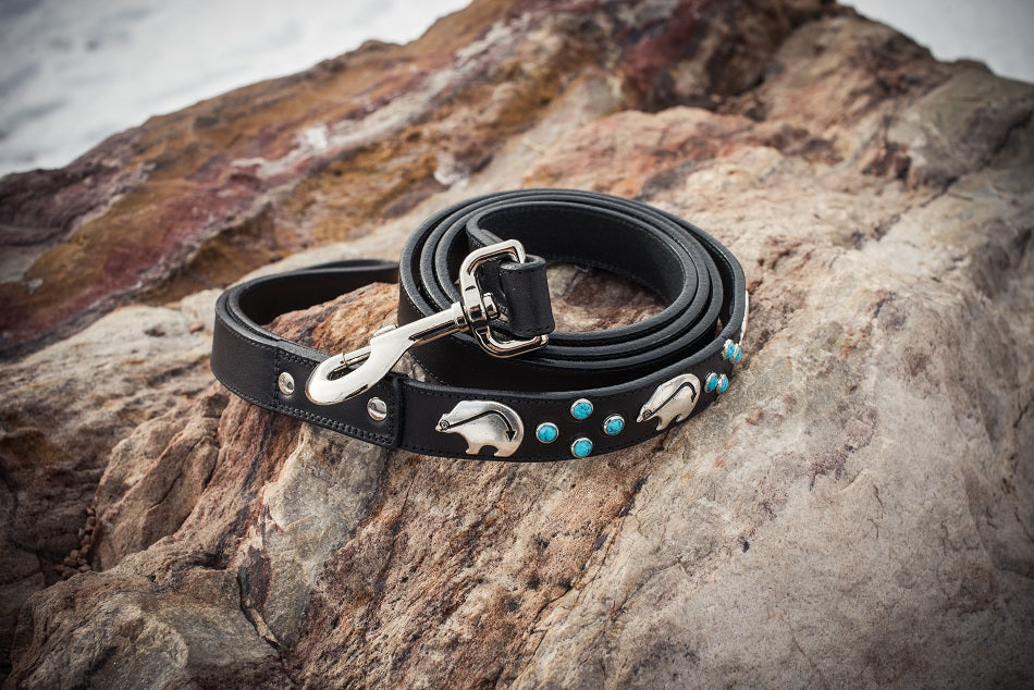 Leather and hot sale turquoise dog collars
