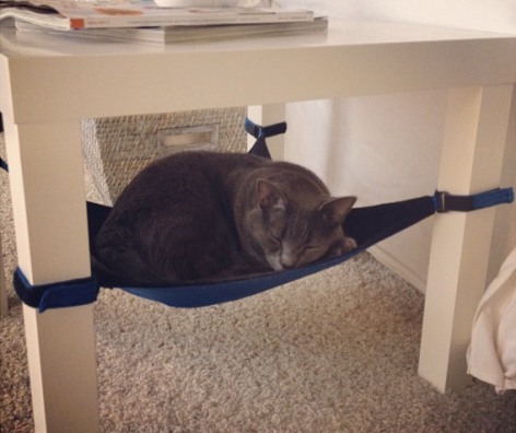 Cat Crib Cat Hammock Zany Zak