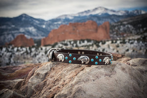Brown Leather and Turquoise Dog Collar
