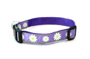 Lavender Daisy Dog Collar