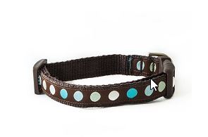 Turquoise Polka Dot Dog Collar