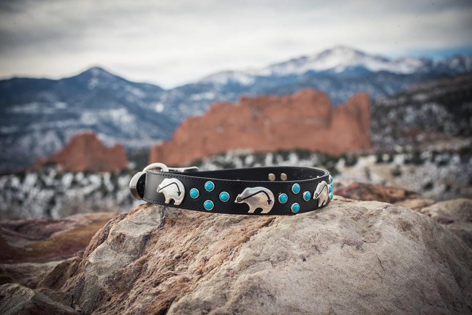 Black Leather and Turquoise Dog Collar