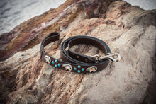 Brown Leather and Turquoise Dog Collar