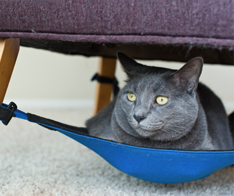 Cat Crib Unique Cat Hammock Cat Crib Unique Cat Hammock