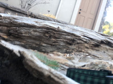 Green Buffalo Plaid Dog Collar