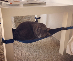 Cat Crib Cat Hammock