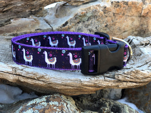 Alpaca Dog Collar