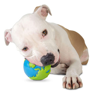 Planet Dog Orbee Ball