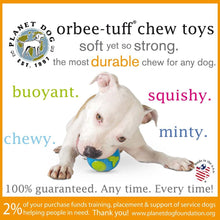 Planet Dog Orbee Ball