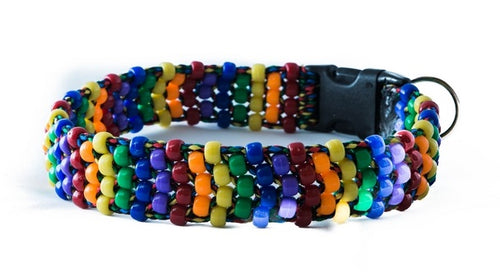 Rainbow Beaded Dog Collar