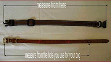 Hopi Beaded Dog Collar