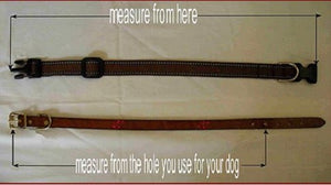 Hopi Beaded Dog Collar