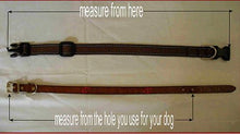 Comanche Beaded Cat Collar